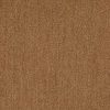 Tuntex Carpet Tiles Philippines Mineral Plus T101+-29 Ginger