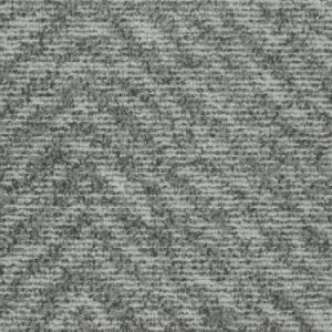 T85202 Fossil