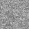 T66504 Coin