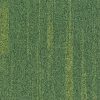 T67109 Shamrock