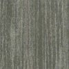 T67504 Ash